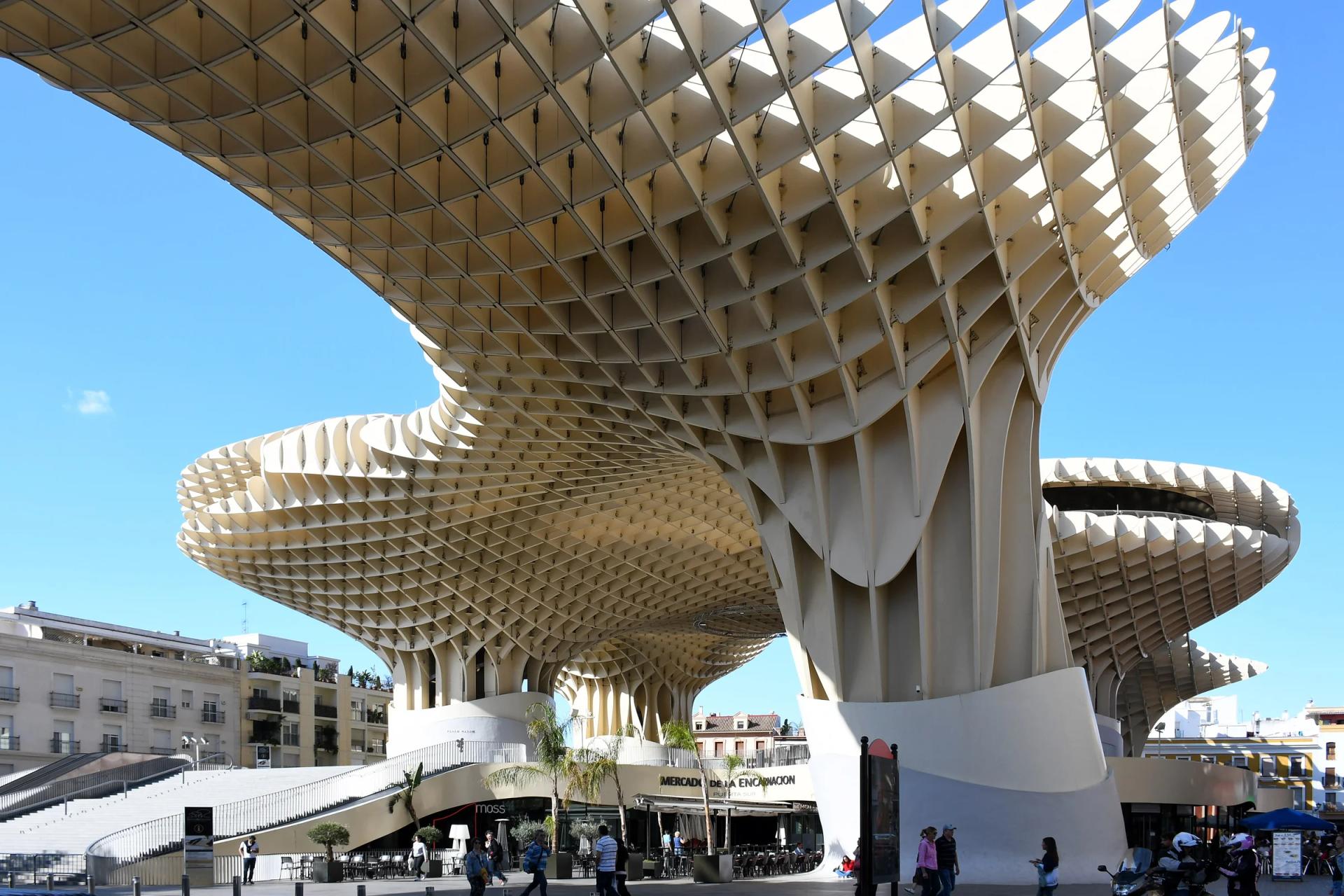 Las Setas de Sevilla vistas desde la plaza de la Encarnación, con sus pilares de madera