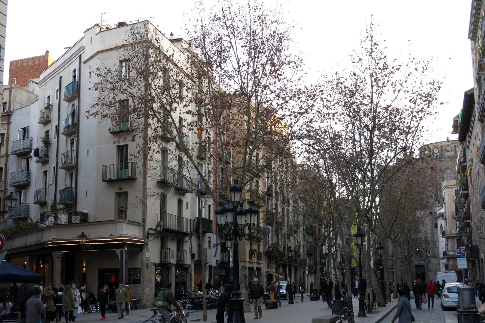El Passeig del Born, con sus árboles y las fachadas antiguas