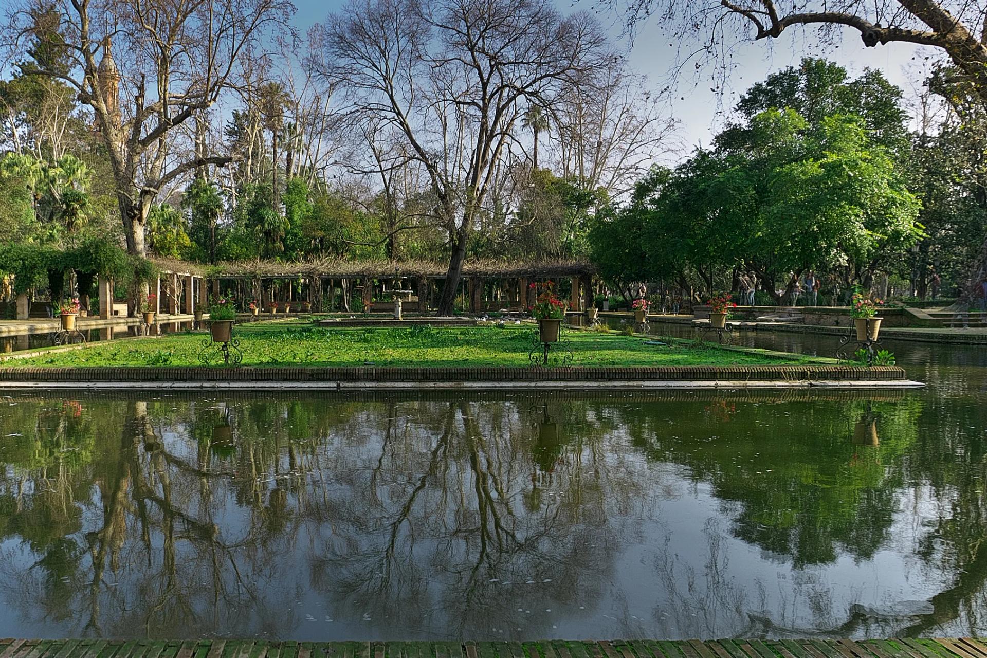 Estanque de la glorieta de los Lotos en el Parque de María Luisa, rodeado de árboles