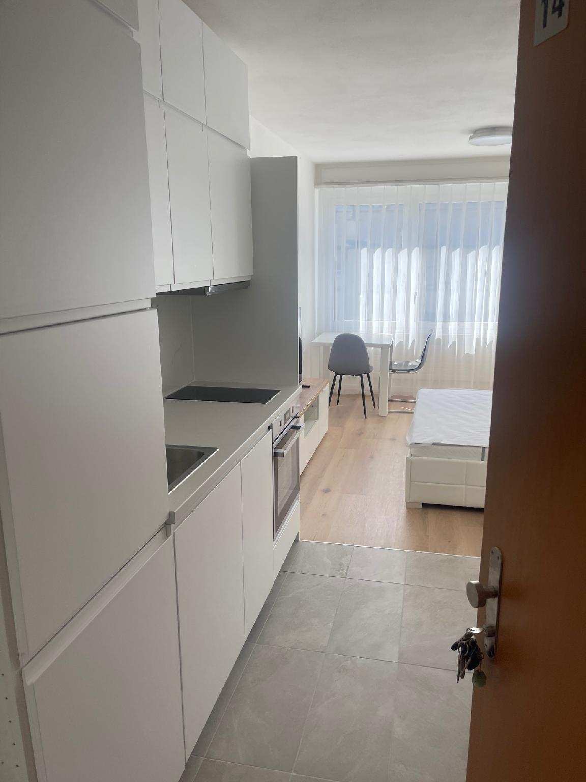 Komfortables Apartment für Urlaub in Triesen