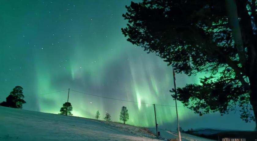 Feriehus ved Fjellfroskvatnet