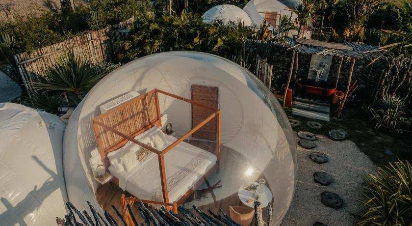 Green Land Bubble Glamping