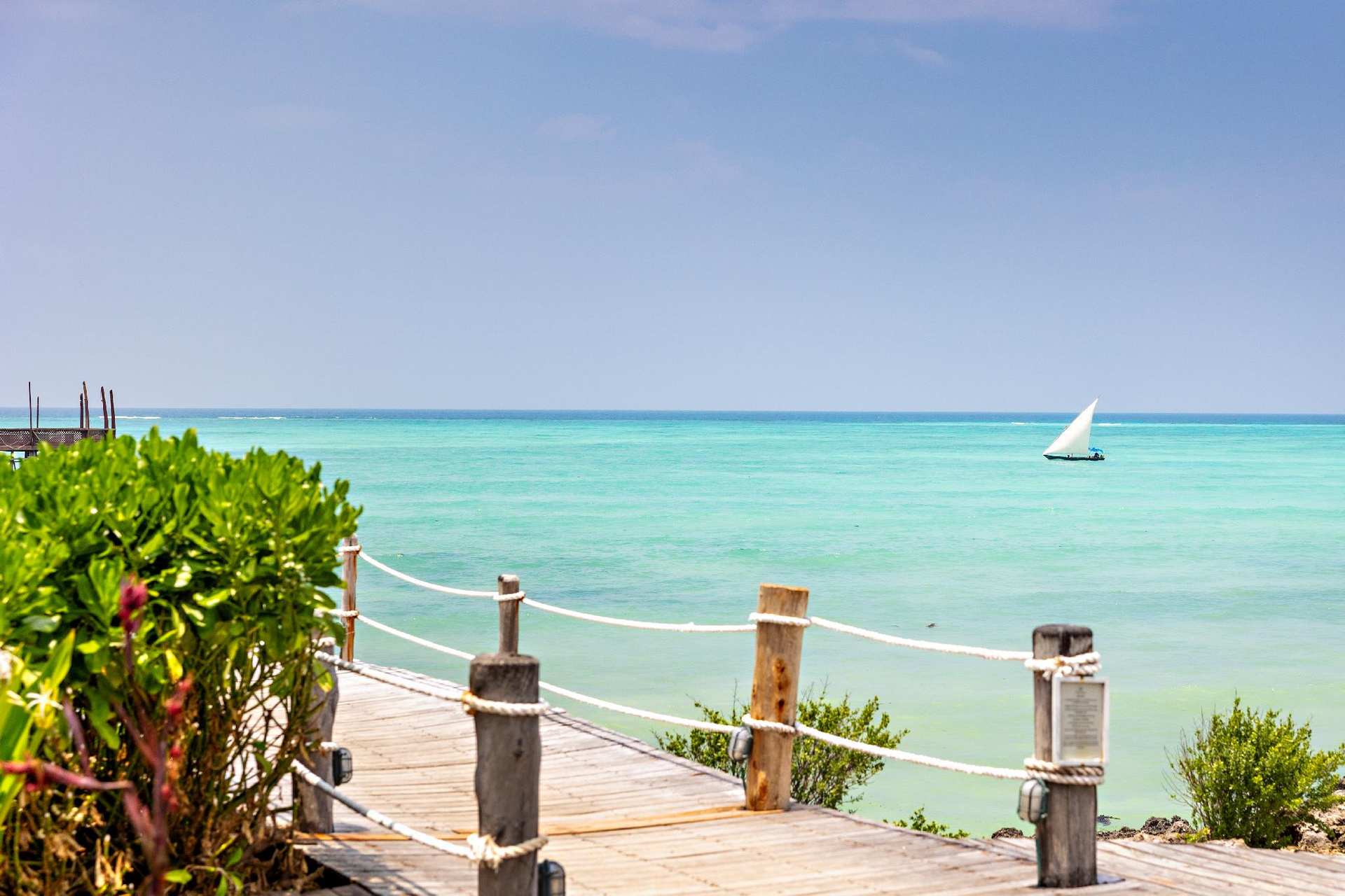 Essque Zalu Zanzibar