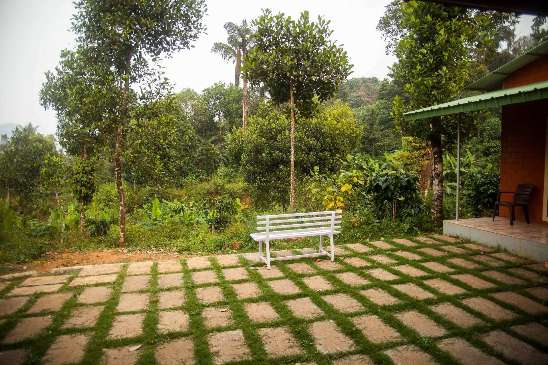 Yedamakky Plantations