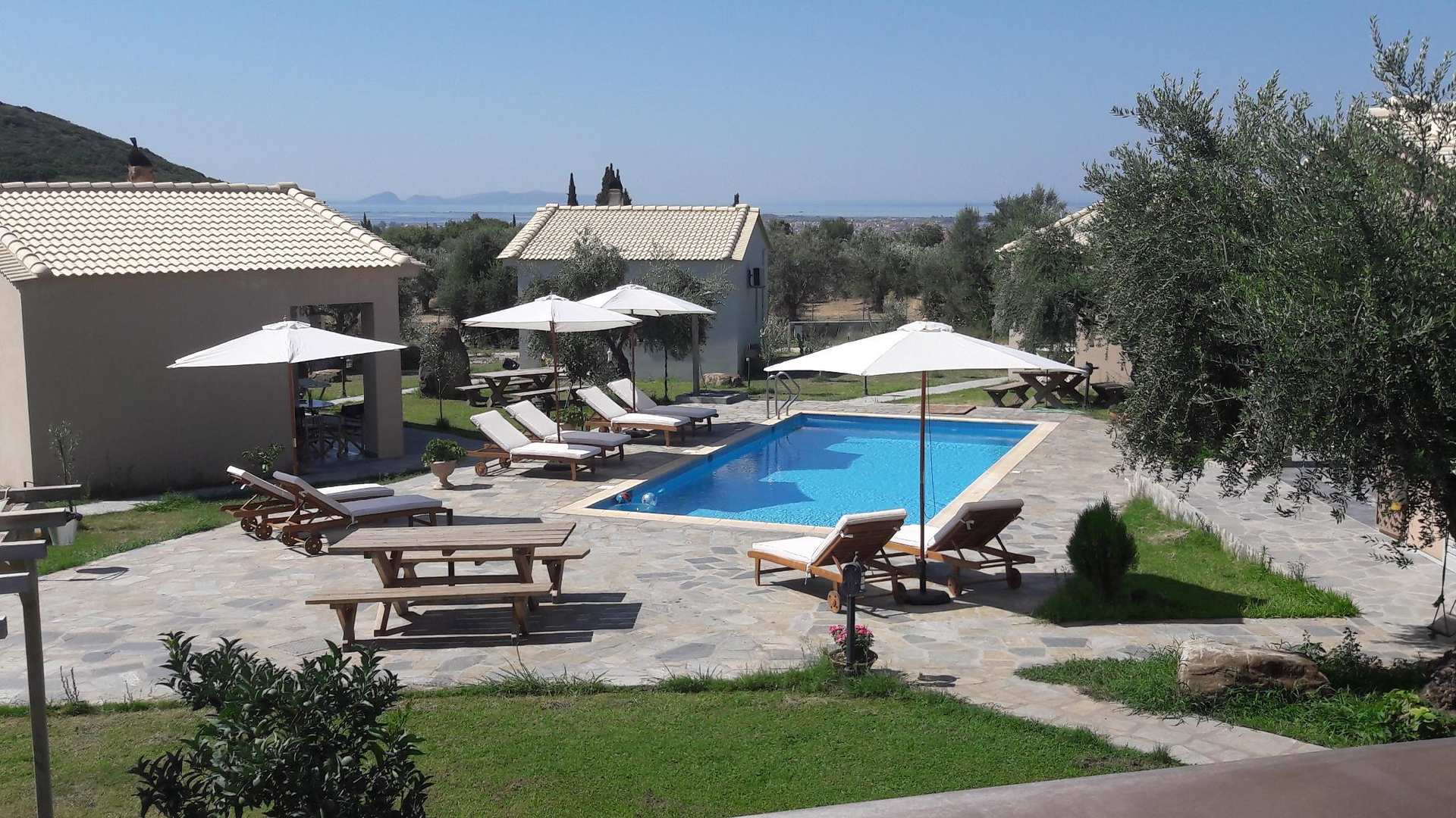 Socrates Organic Village - Wild Olive