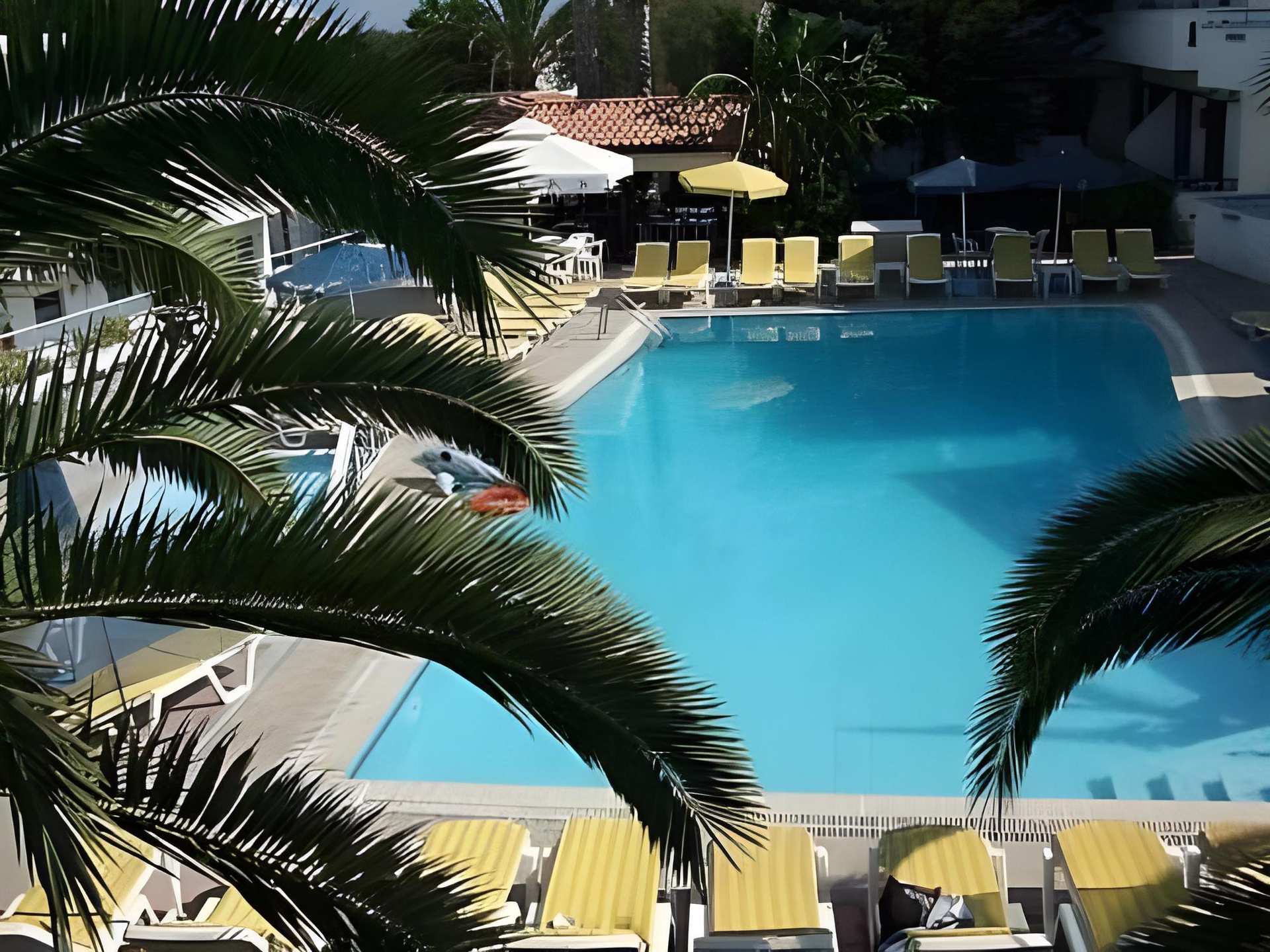 Yiannis Yard studios & apartments