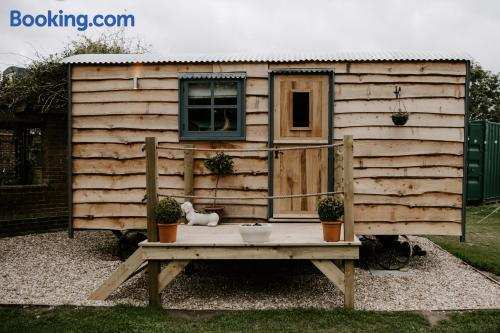 Angela's Rest Shepherds Hut with Scandi Hot Tub