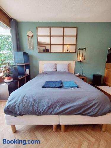 Apartement vue Monblanc incroyable ski inout Prarion5