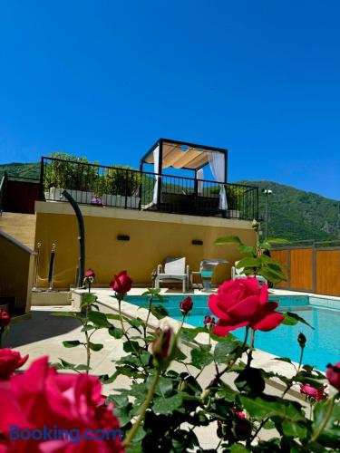 Apartments Jovanovic - Alkima