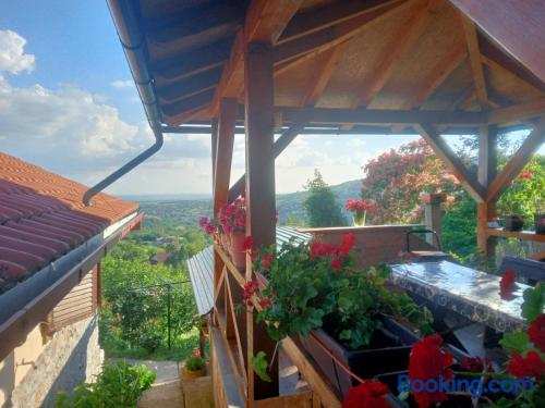 Apartment Noletov vidikovac