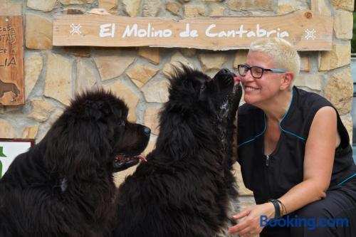 Posada PetFriendly El Molino de Cantabria - Hotel Rural B&B -
