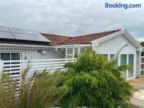 Calm villa-apartement near the sea and nature