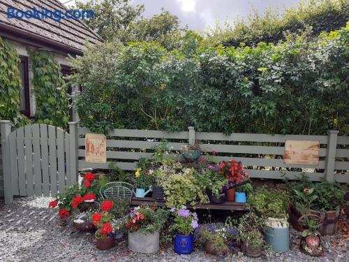Oakey Orchard - cosy apartment in Tamar Valley, Cornwall