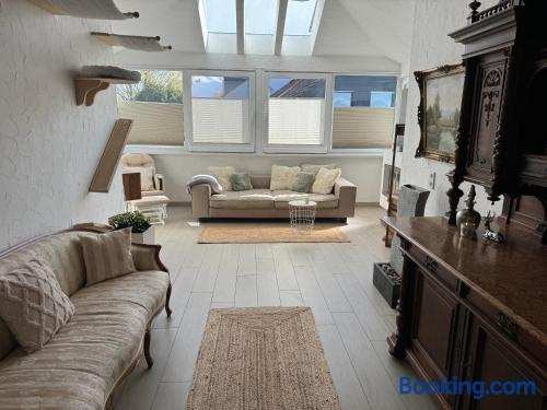 Spacy 3 Bedroom plus Sleeping couch Apartment Work&Travel close to Heidelberg
