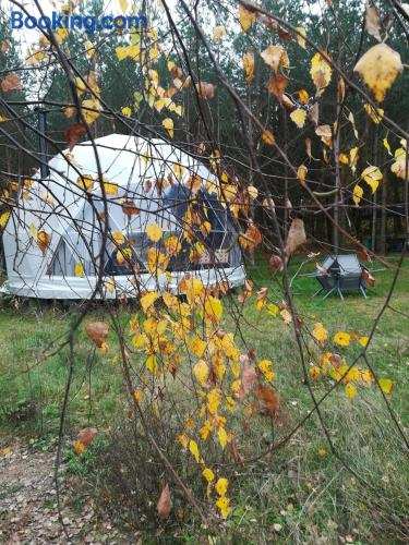 Glamping Drzwi Do Lasu - nocleg w Puszczy Knyszyńskiej