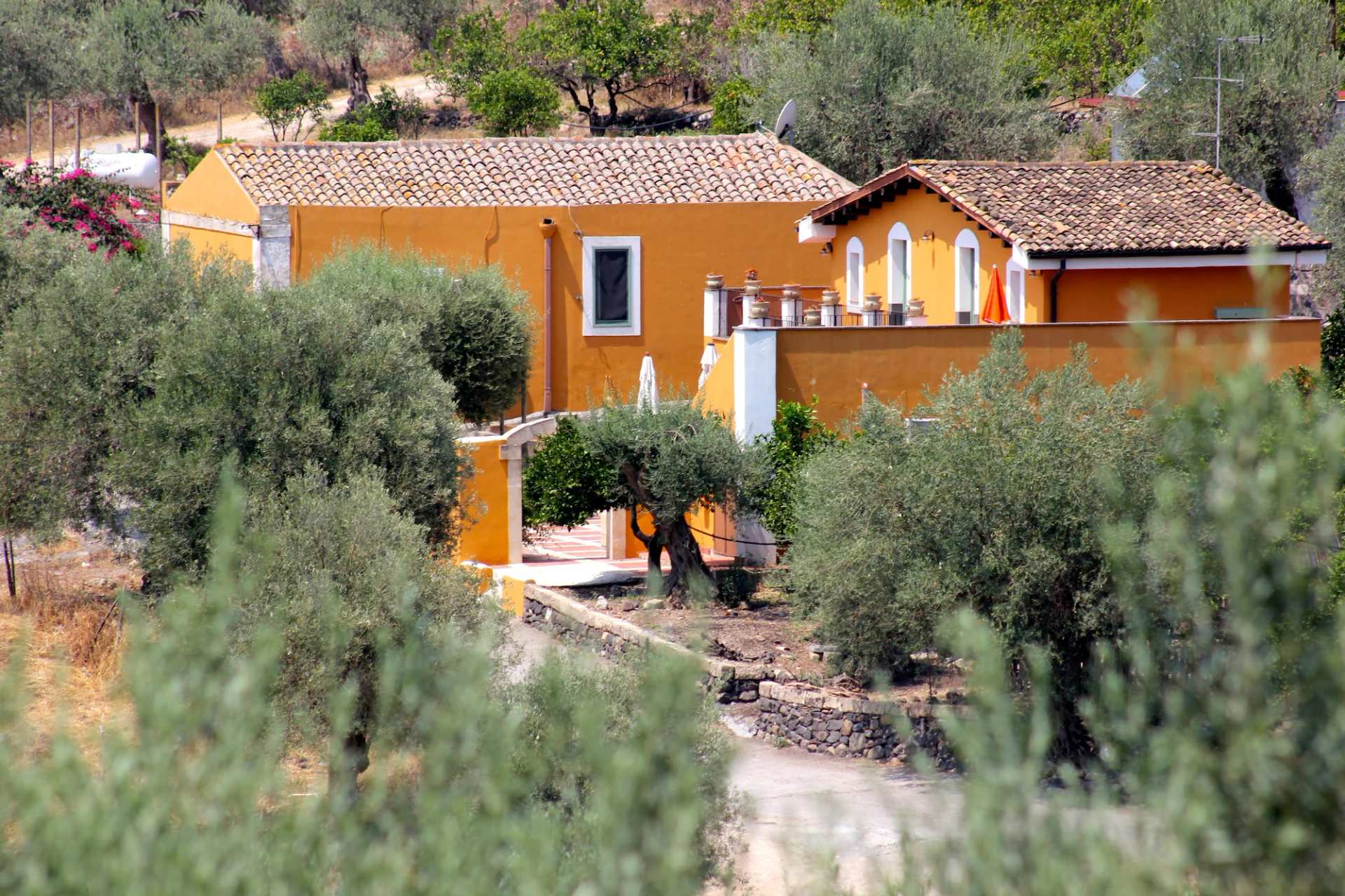 Agriturismo Roccadia