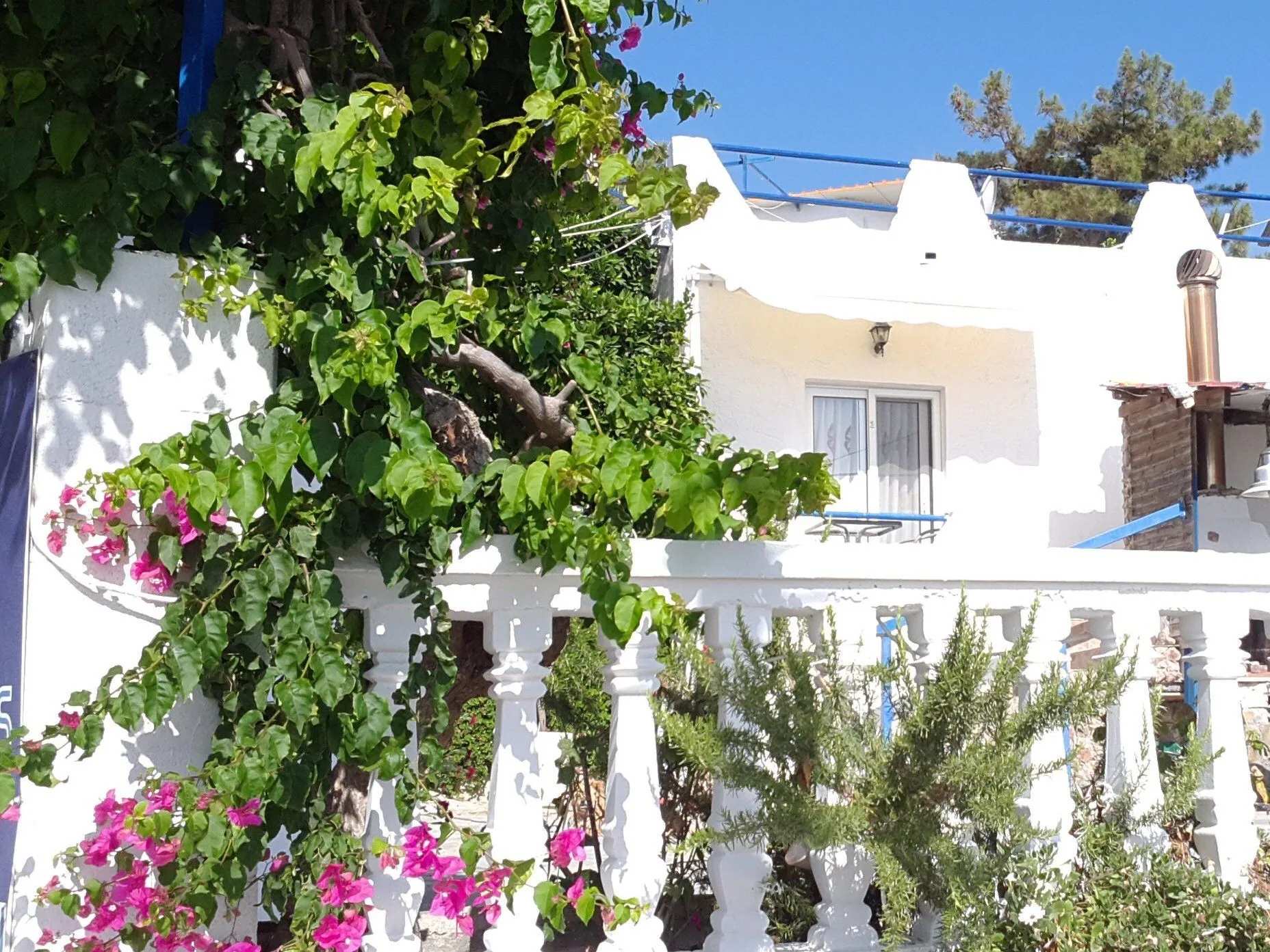 Paradis Studios