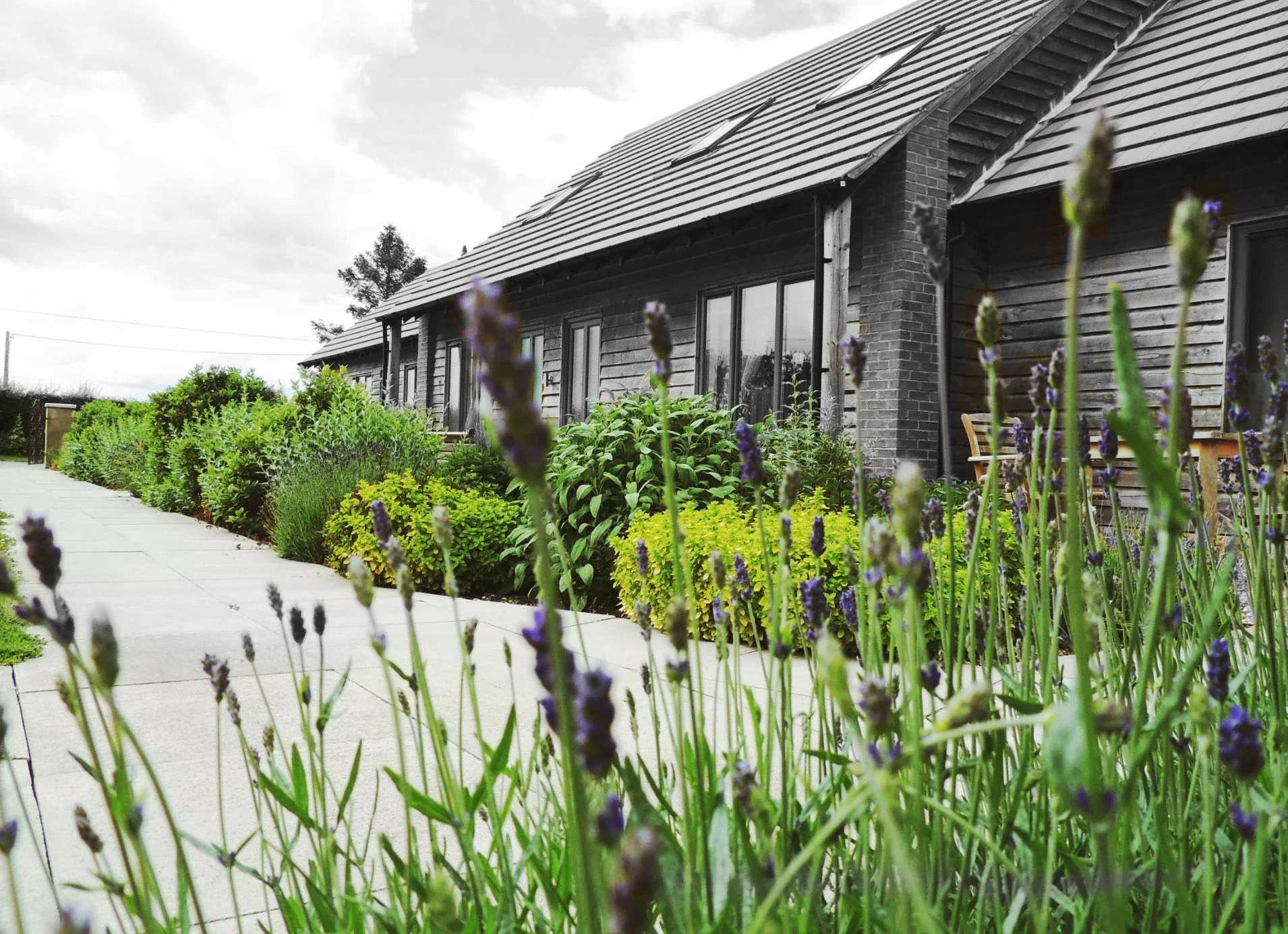 Elm Tree Farm Accommodation