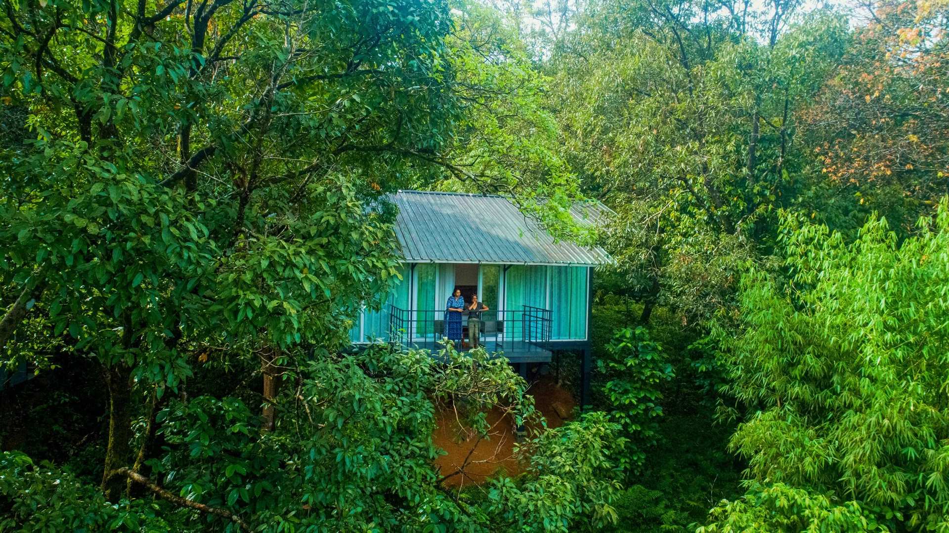 Wayanad Wild - A CGH Earth Experience