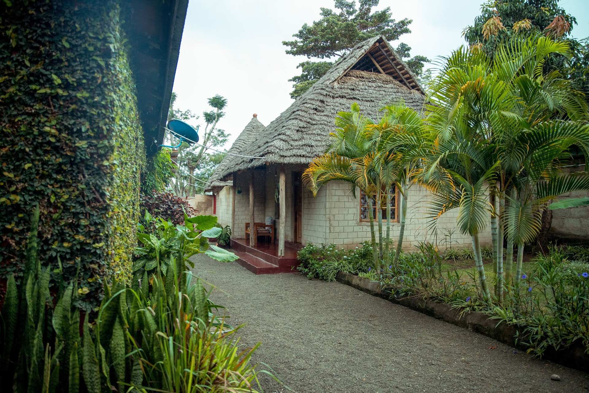 Charming Eco-Homestay near Kilimanjaro International Airport
