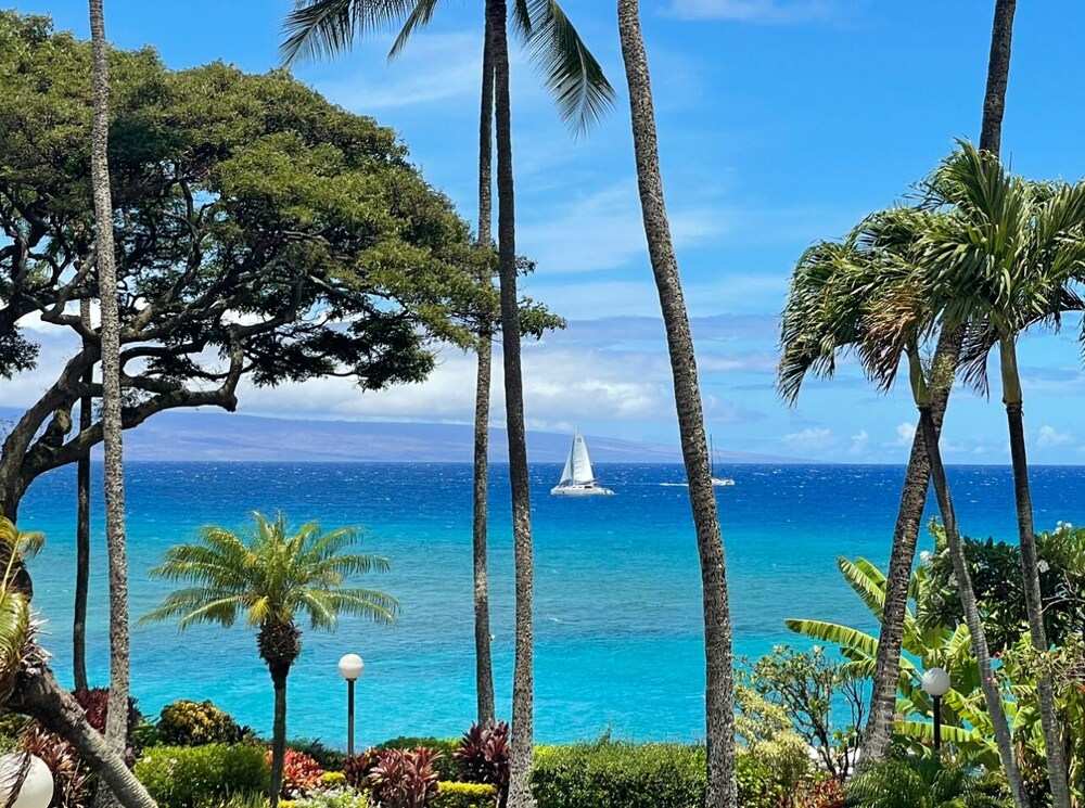$ 125 / mei Sale Aloha Hale Ocean View Maui Condo gerenoveerd in Ocean Front Complex