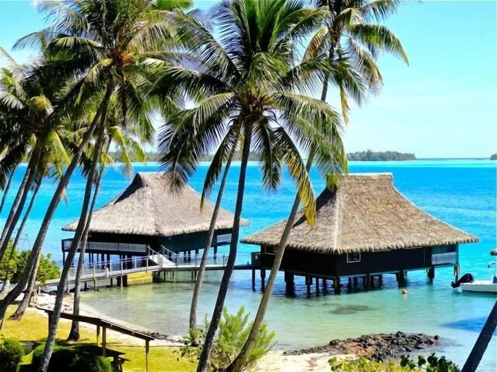 Bungalow Two - Marlon's World Famous Over Water Hideaway w Bora Bora!