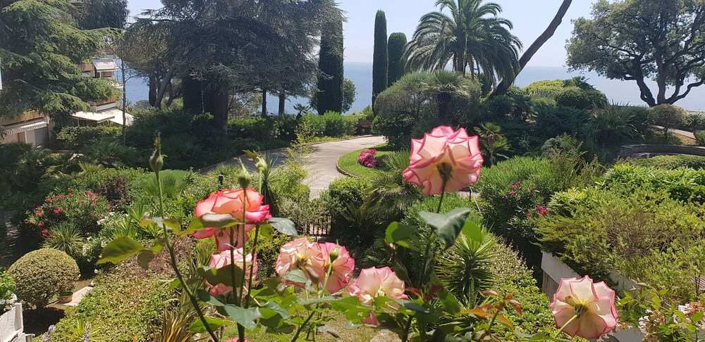 Superb apartment completely renovated with views and direct access to the sea!