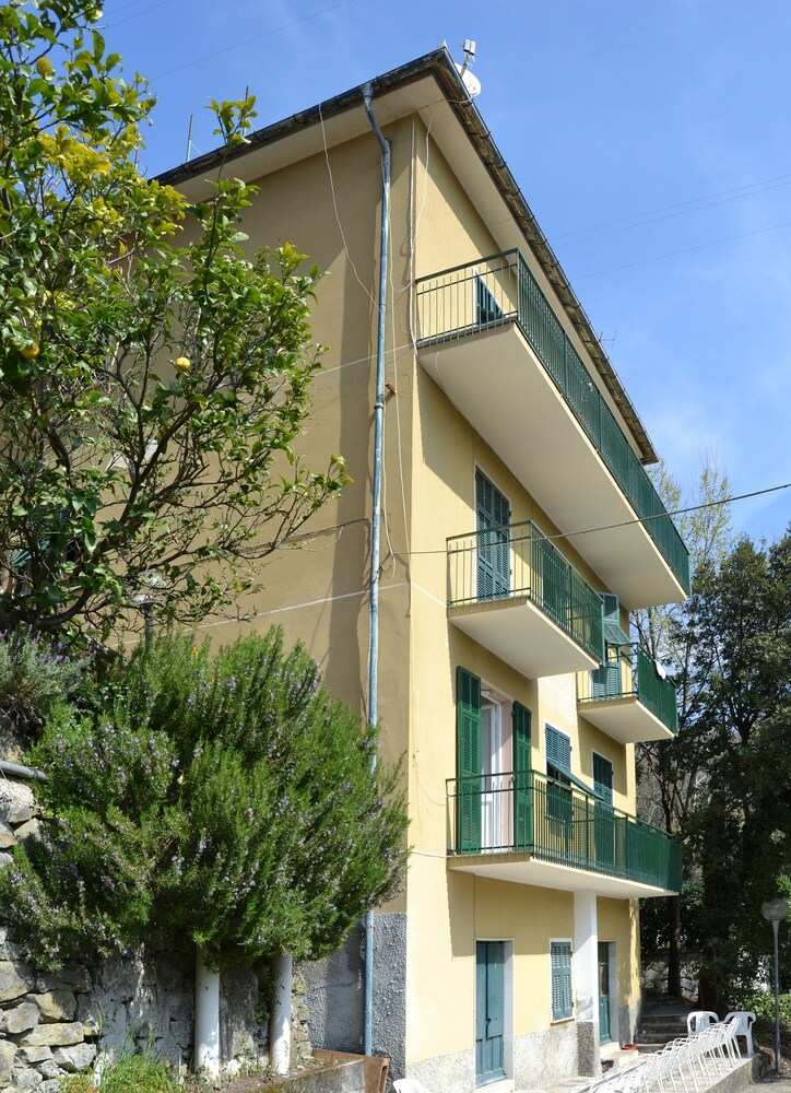 Pineta del Borgo