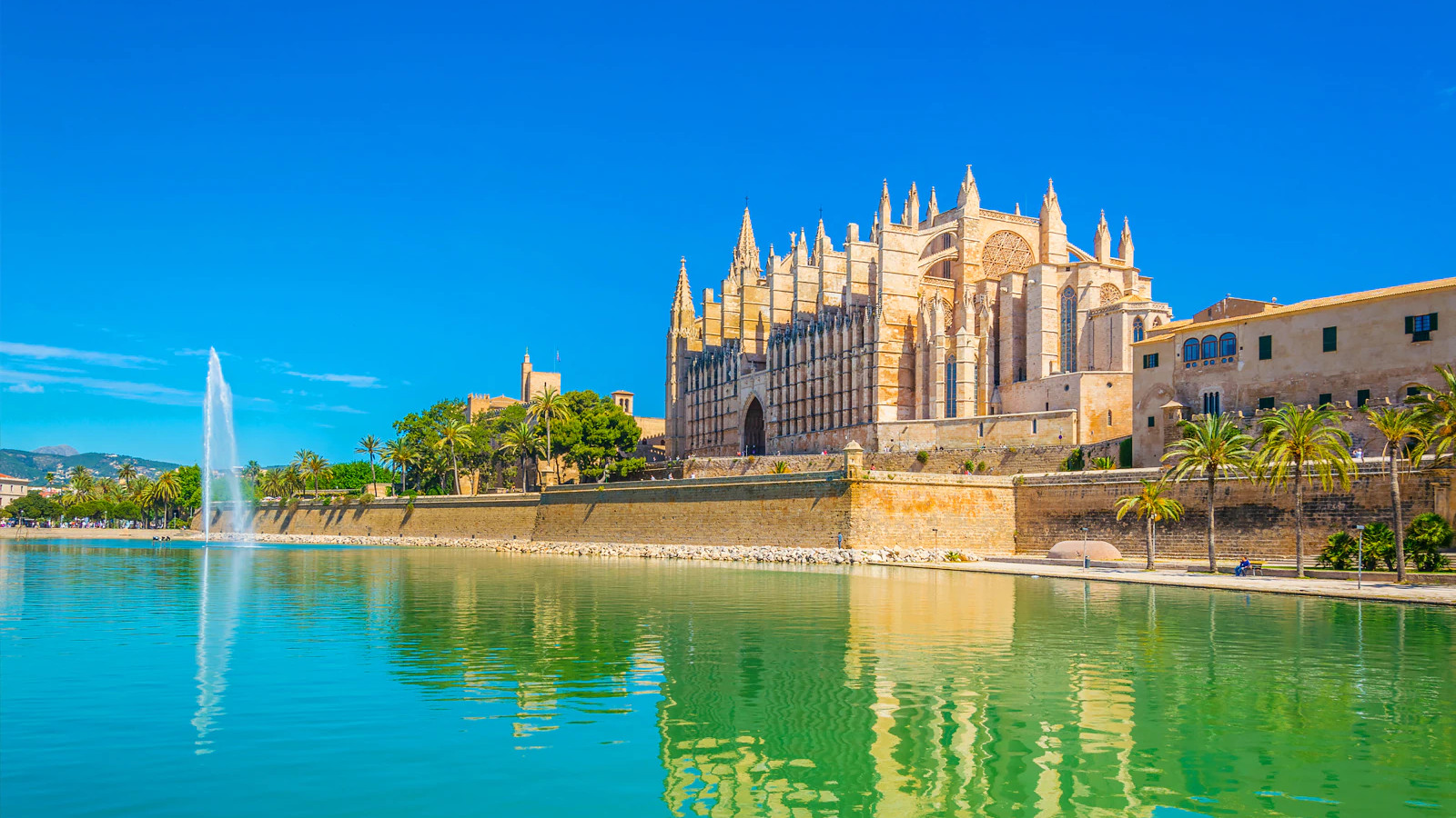 Palma