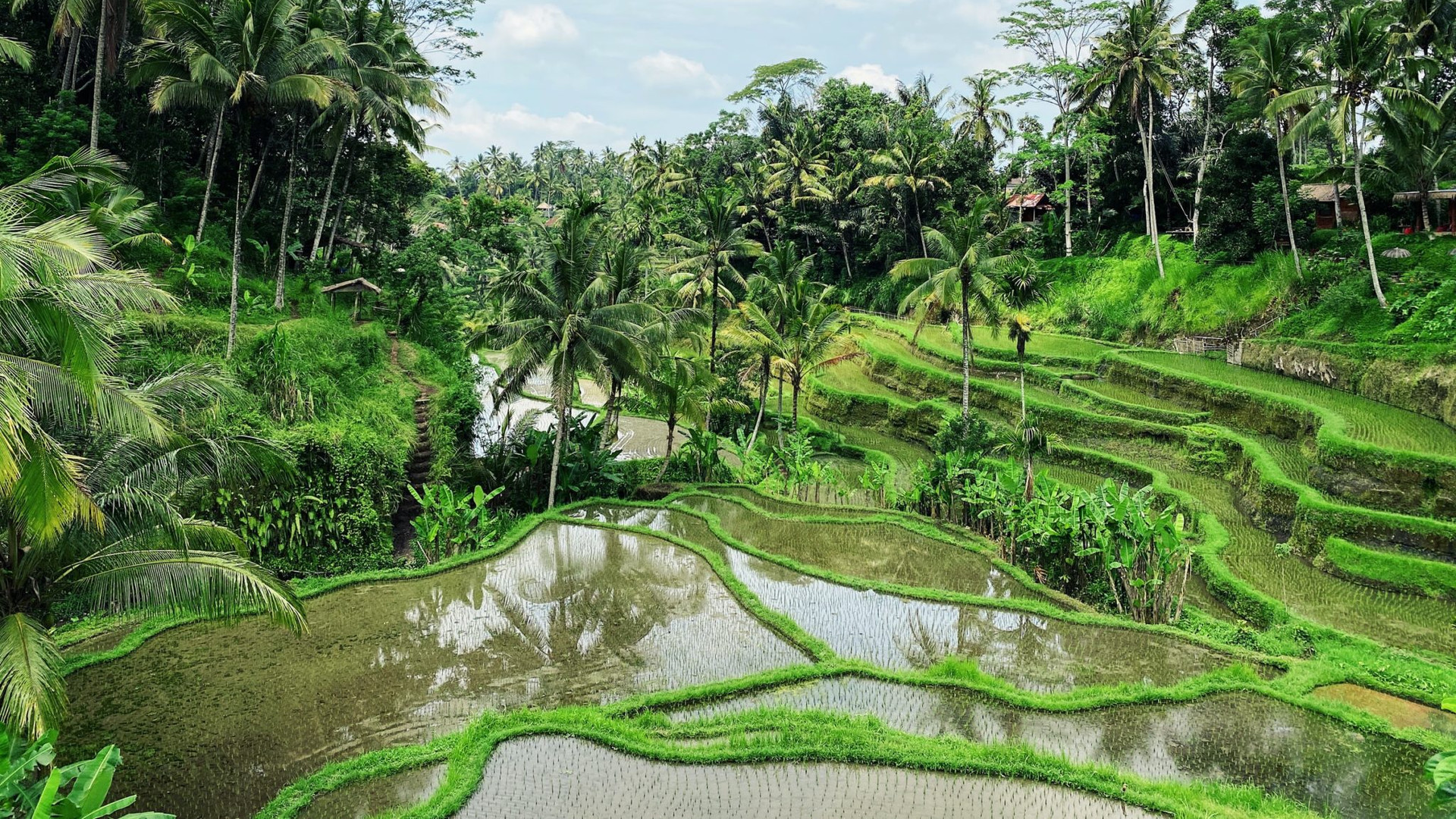 Ubud